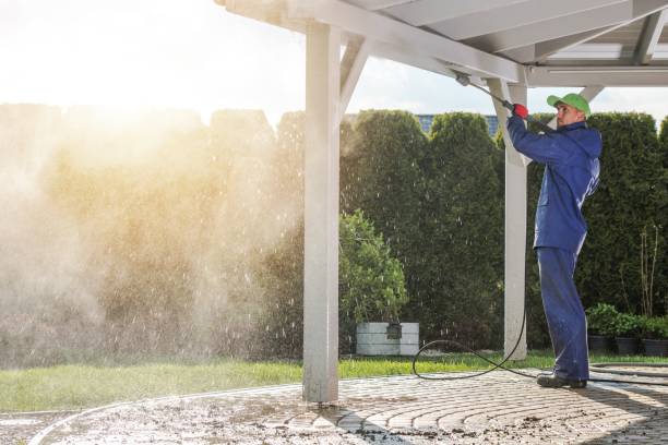 Best Gutter Cleaning  in Silver Grove, KY